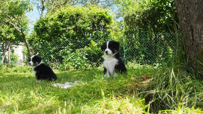  c'est parti pour découvrir le monde , on commence par le jardin 